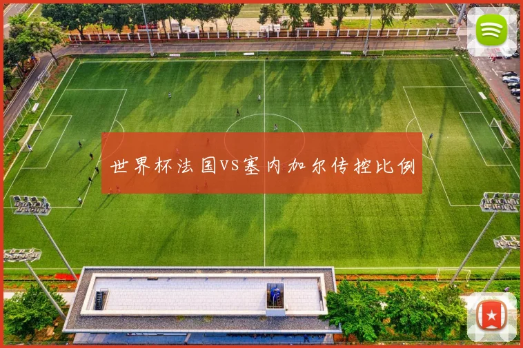 世界杯法国vs塞内加尔传控比例
